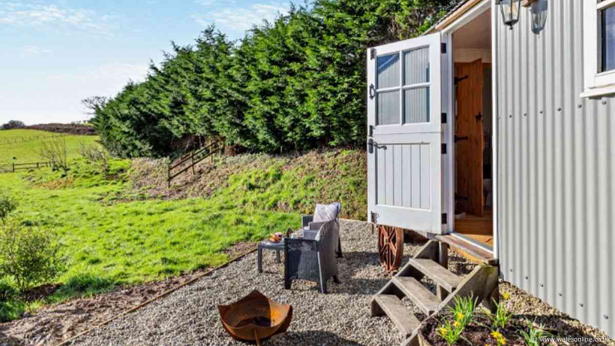 Star-lit skies await at idyllic dog-friendly Cornish getaway for under £500