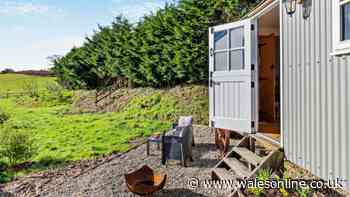 Star-lit skies await at idyllic dog-friendly Cornish getaway for under £500