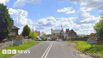 RSPCA appeal over cats found dead in ditch