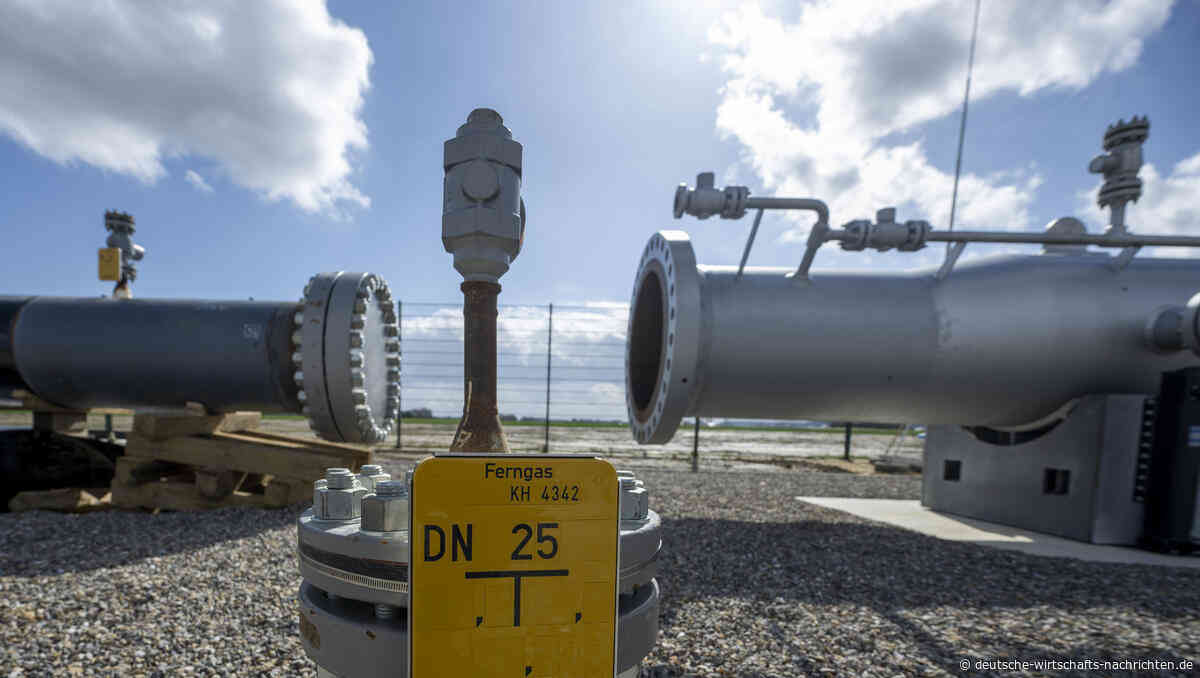 Neue H2-Cluster im Norden: Wasserstoff-Durchbruch oder Milliardenwette?