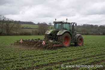 Farmers For Action says biofuels, not diet cuts, must lead net zero drive
