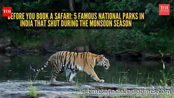 Before you book a safari: 5 famous national parks in India that shut during the monsoon season