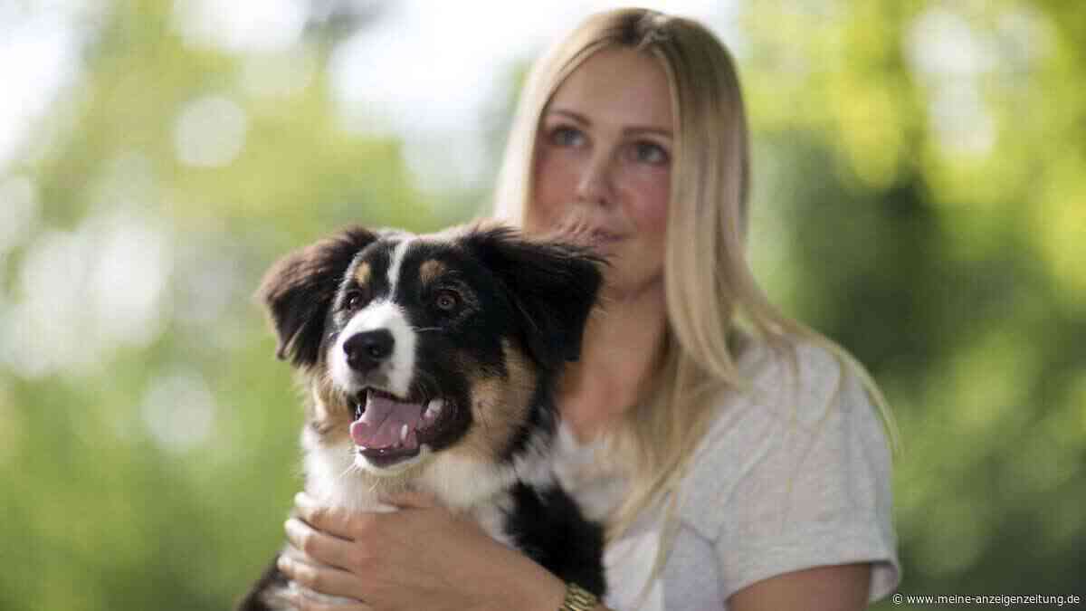 Haben Sie sich schon immer gefragt, was Ihr Hund denkt? So lernen die Vierbeiner „sprechen“
