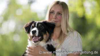 Haben Sie sich schon immer gefragt, was Ihr Hund denkt? So lernen die Vierbeiner „sprechen“