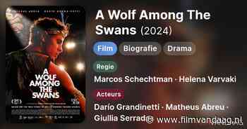 A Wolf Among The Swans (2024, IMDb: 7.2)
