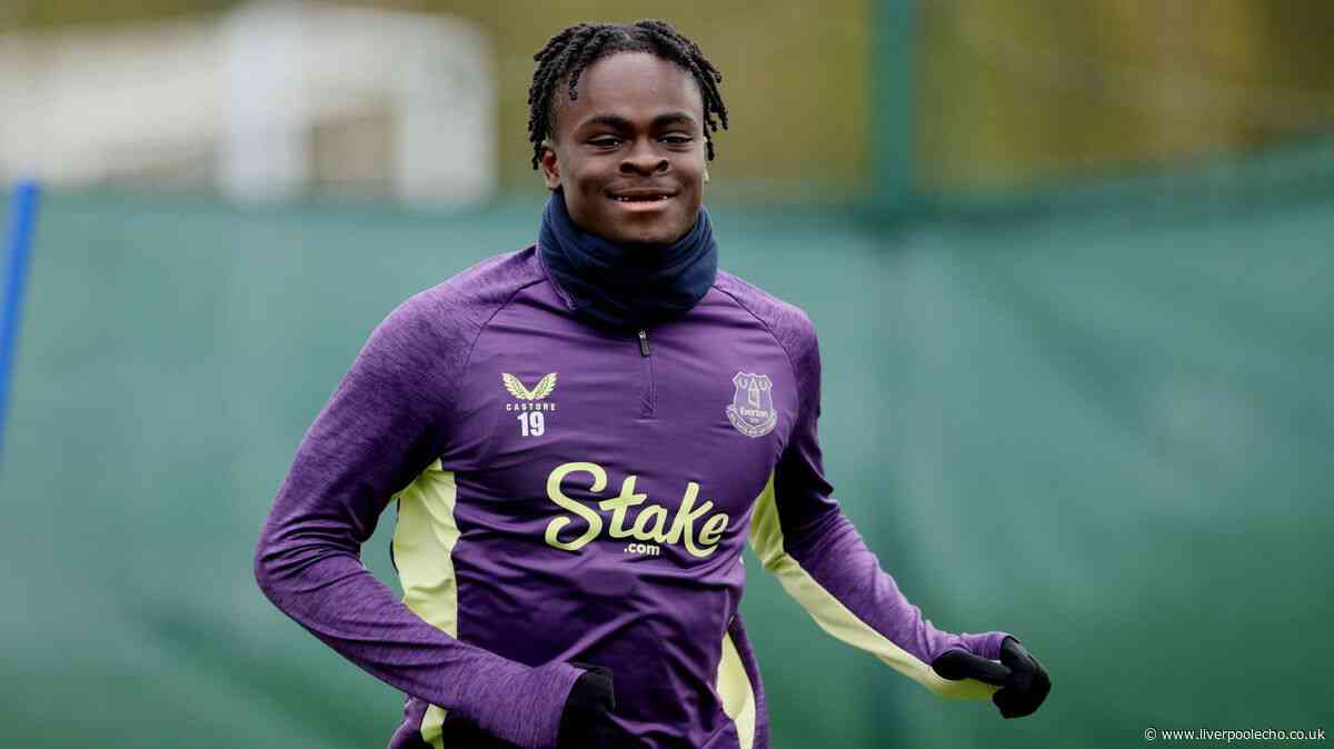 Tyrique George backed to make Everton transfer and emulate inspired signing - 'looks like a steal'