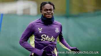 Tyrique George backed to make Everton transfer and emulate inspired signing - 'looks like a steal'
