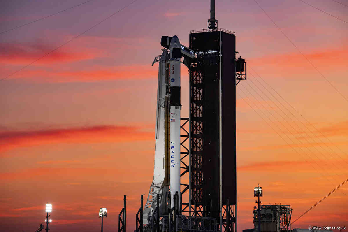 How to Buy SpaceX Shares Through Your Brokerage Account: A Step-by-Step Guide