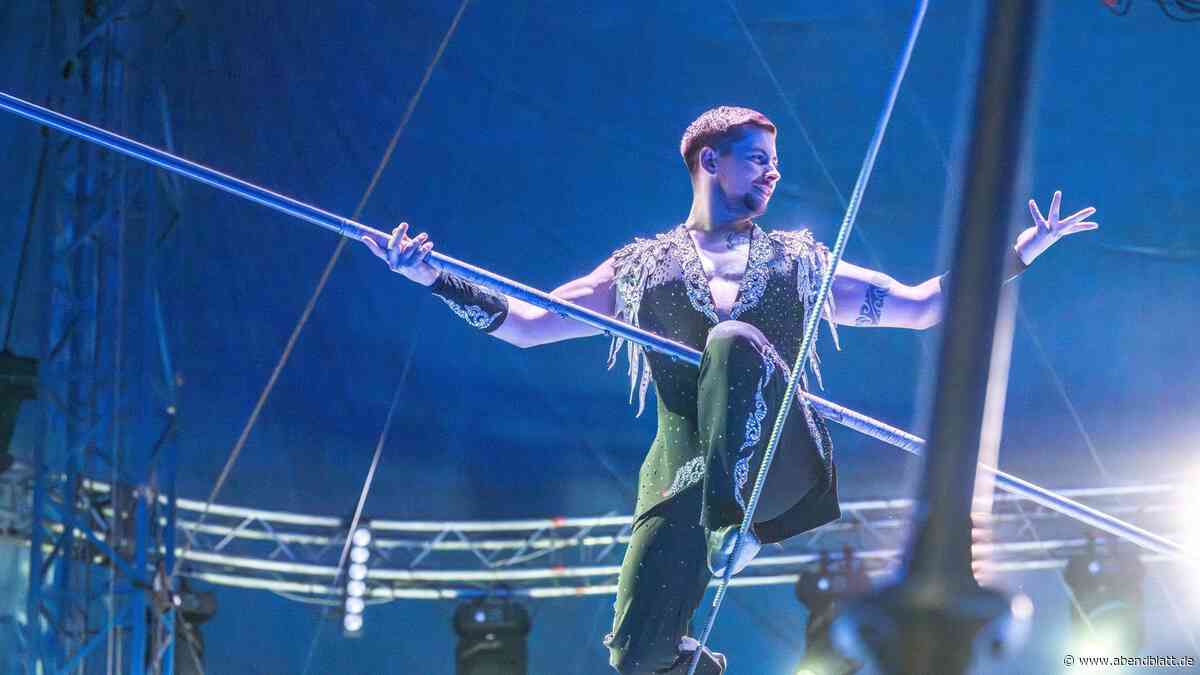 Neue Zirkusshow in Hamburg: Warum mich der Besuch im Wasserzirkus überrascht hat