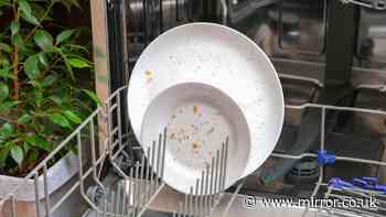 British Gas engineer shares quick dishwasher fix for common 'specks of food' issue