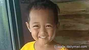 Boy, seven, is mauled to death by family's pet monkey