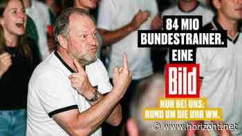 84 Millionen Bundestrainer: Das ist die WM-Kampagne der Bild