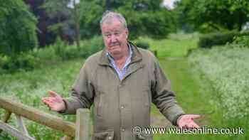 How much is Jeremy Clarkson's Diddly Squat Farm worth now?