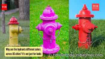 Why are fire hydrants different colors across US cities? It’s not just for looks
