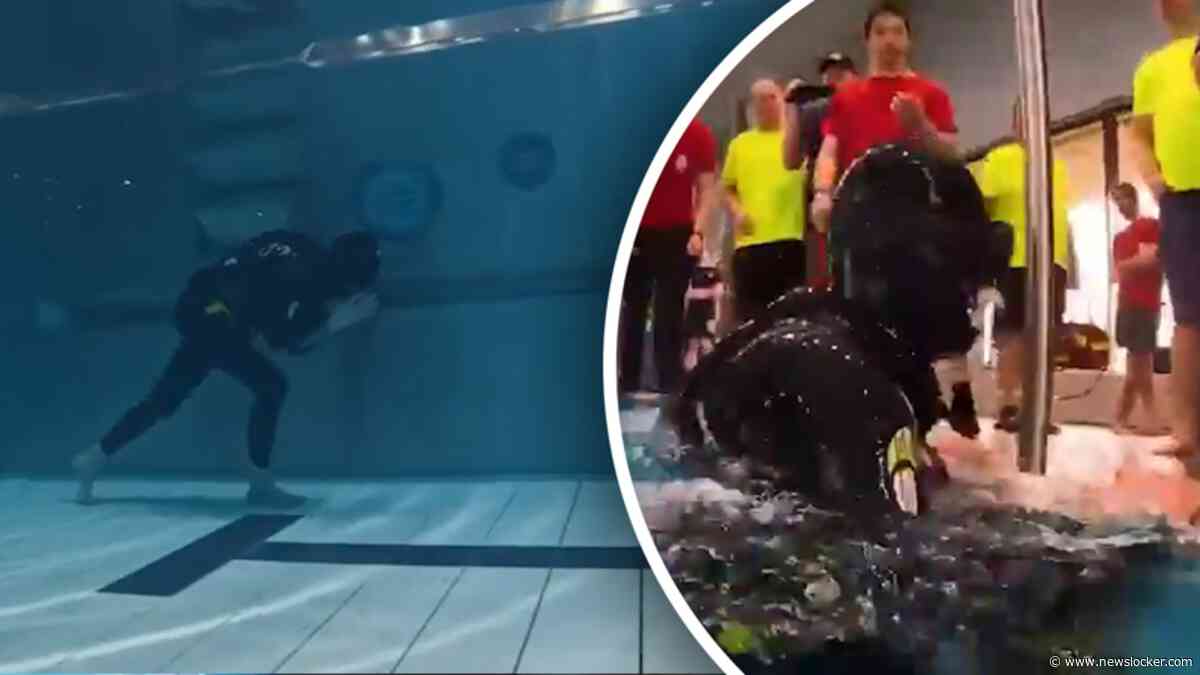 Duiker loopt ruim 120 meter onder water op één ademteug en verbreekt eigen record