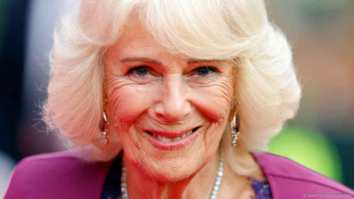 Queen Camilla's got a new £1.5k handbag - and it's her most daring yet