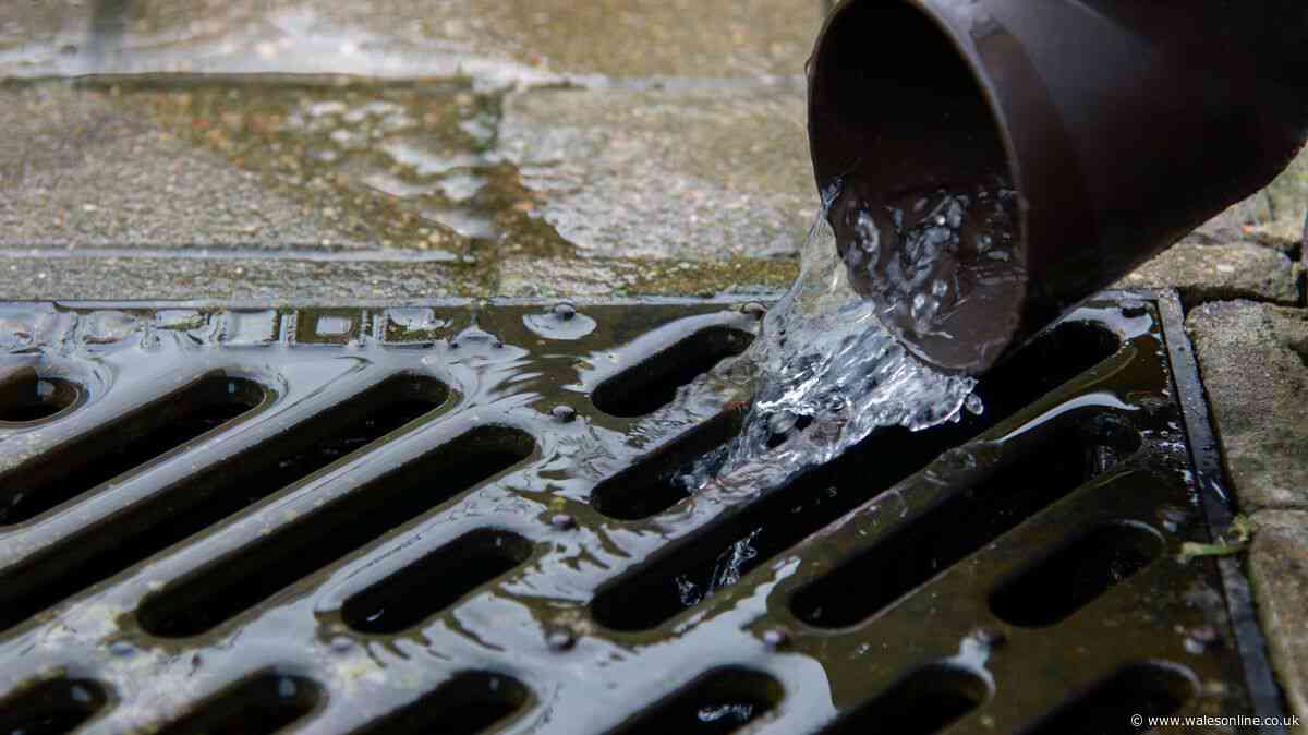 Welsh households told to pour washing up liquid down the drain on Monday