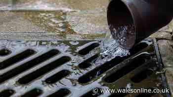Welsh households told to pour washing up liquid down the drain on Monday