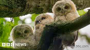 Photographers share extraordinary wildlife snaps