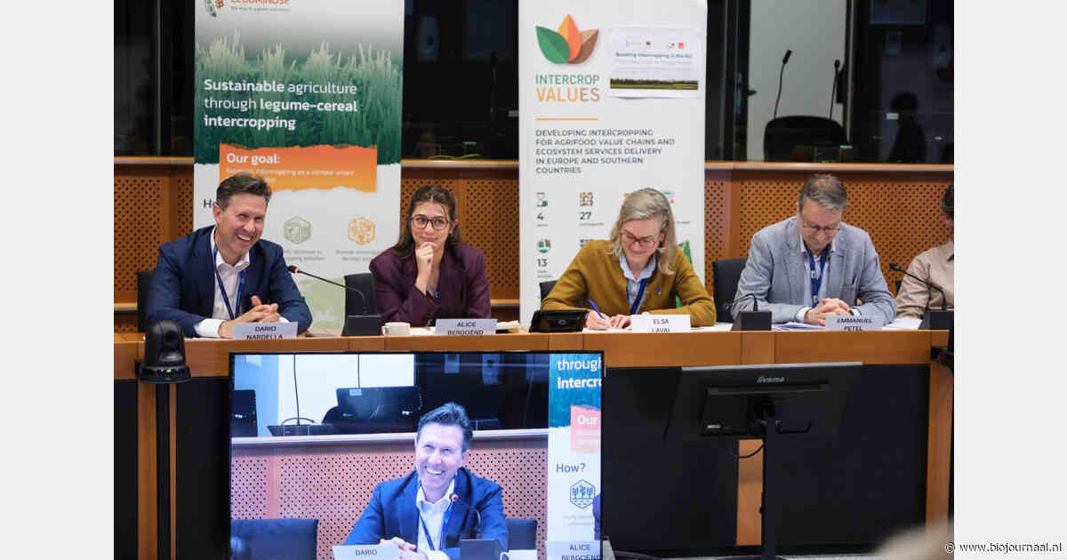 EU-project komt met beleidsaanbevelingen om mengteelt en biologische landbouw te stimuleren