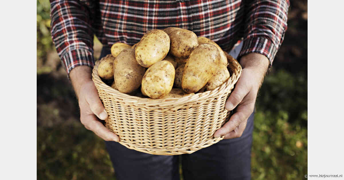 Drie ton biologische aardappelen bij Aldi in Culemborg uitgedeeld bij protestactie
