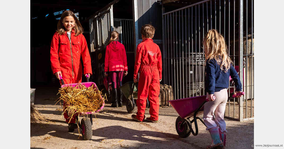 Overname glamping-aanbieder biedt kansen voor verbreding op het boerenbedrijf