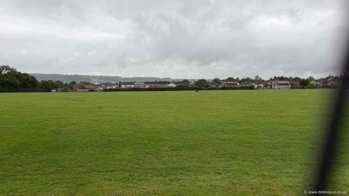 Woman sexually assaulted while walking home in Bristol