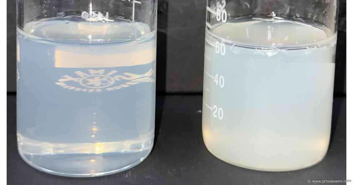 Shinsung Materials Strengthens Global Presence with High-Performance Personal Care Ingredients