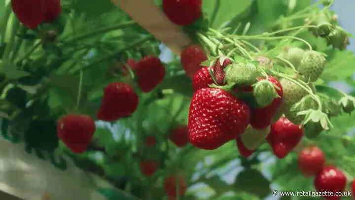M&S Ireland ‘Farm to Foodhall’ ad given 5.9 star rating by System 1