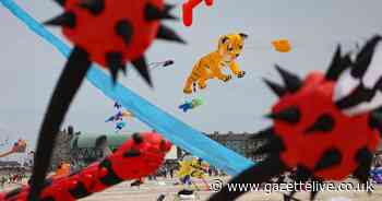 54 wonderful colourful images that show Redcar Kite Festival was a soaring success