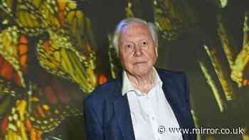 Sir David Attenborough's quiet home life where property prices average £981k