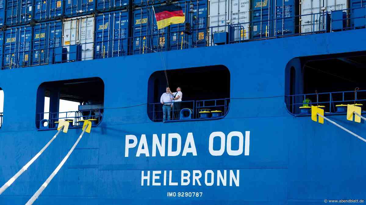 Lidl lässt Containerschiffe unter deutscher Flagge fahren – trotz höherer Kosten
