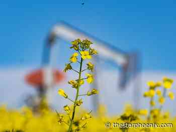 The fastest growing market for Canada's canola is energy