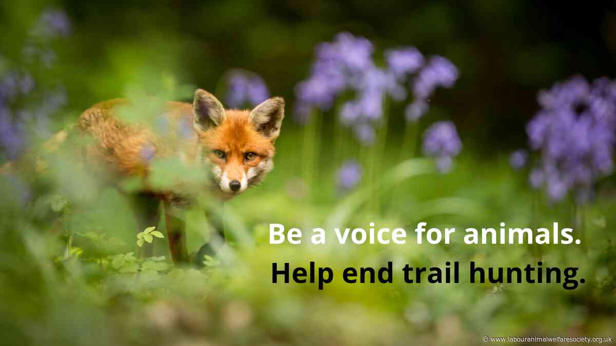 Trail hunting consultation guidance