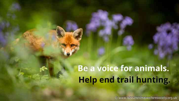 Trail hunting consultation guidance