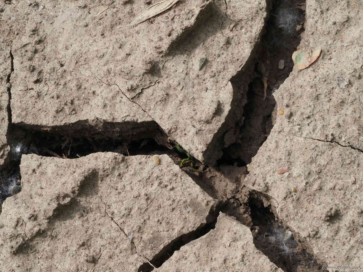 How Many Died in the Philippines Earthquake: Police Confirm 19 Fatalities