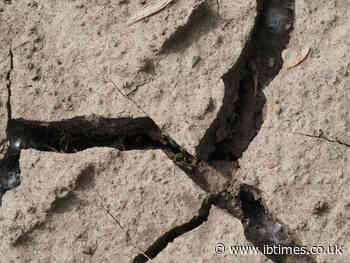 How Many Died in the Philippines Earthquake: Police Confirm 19 Fatalities
