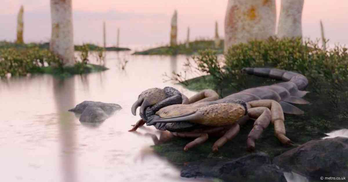 Metre-long scorpions with six inch pincers once roamed Britain