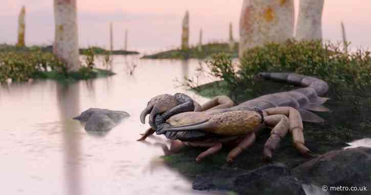 Metre-long scorpions with six inch pincers once roamed Britain