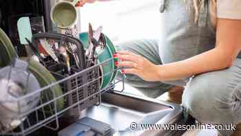 'Revolutionary' dishwasher that 'became my whole personality' is £180 off