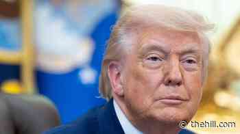 Trump: Israel, Iran must stop shooting ‘immediately’