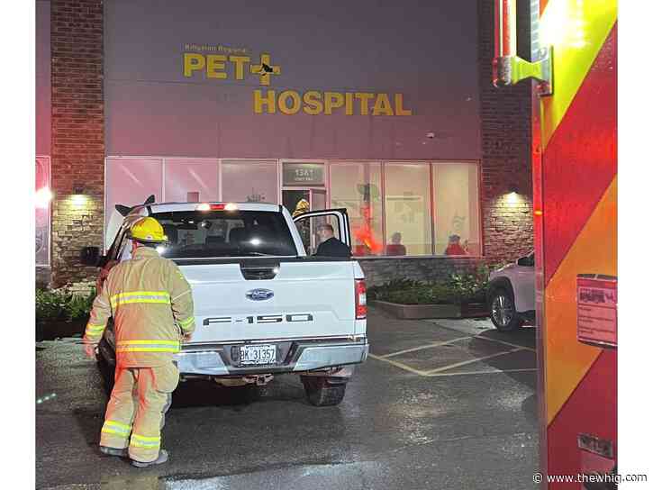 Pickup truck crashes into west-end Kingston animal hospital