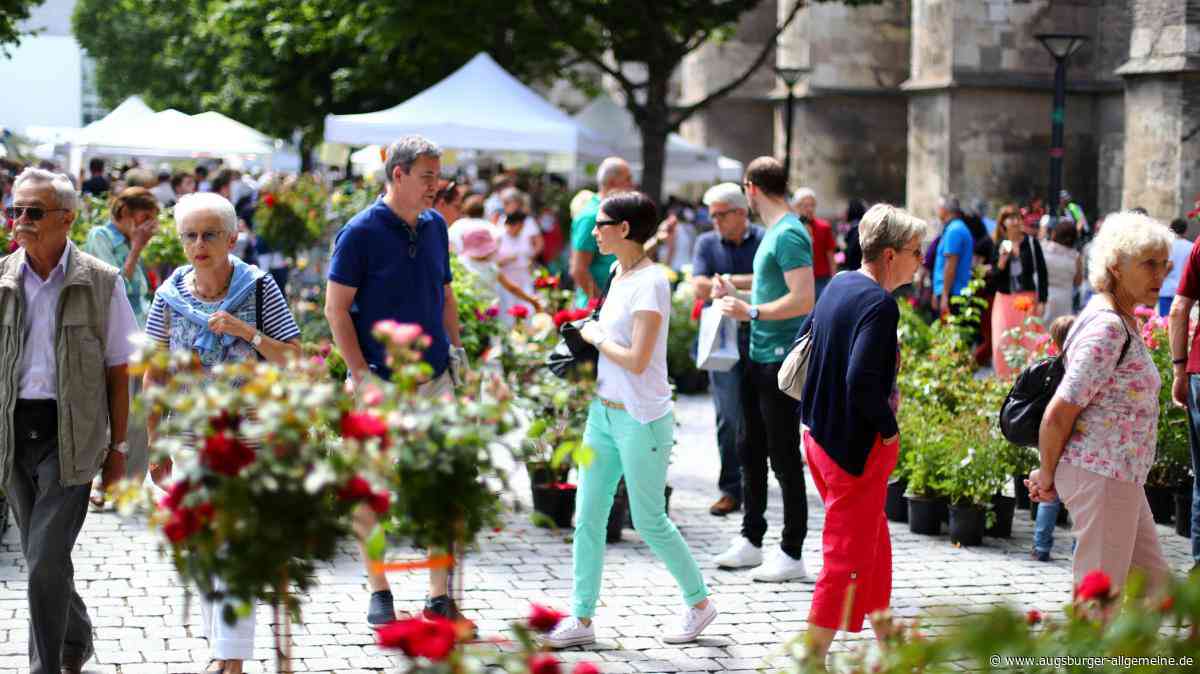 Traditioneller Rosenmarkt am Samstag in Ulm
