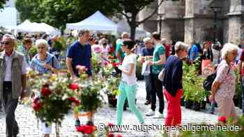 Traditioneller Rosenmarkt am Samstag in Ulm