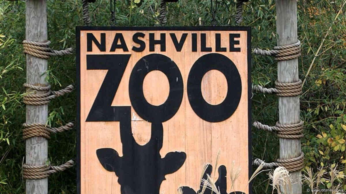 Nashville Zoo Calls To Block 69,000 Sq Ft AI Data Centre Over Fears For Animal and Environmental Safety
