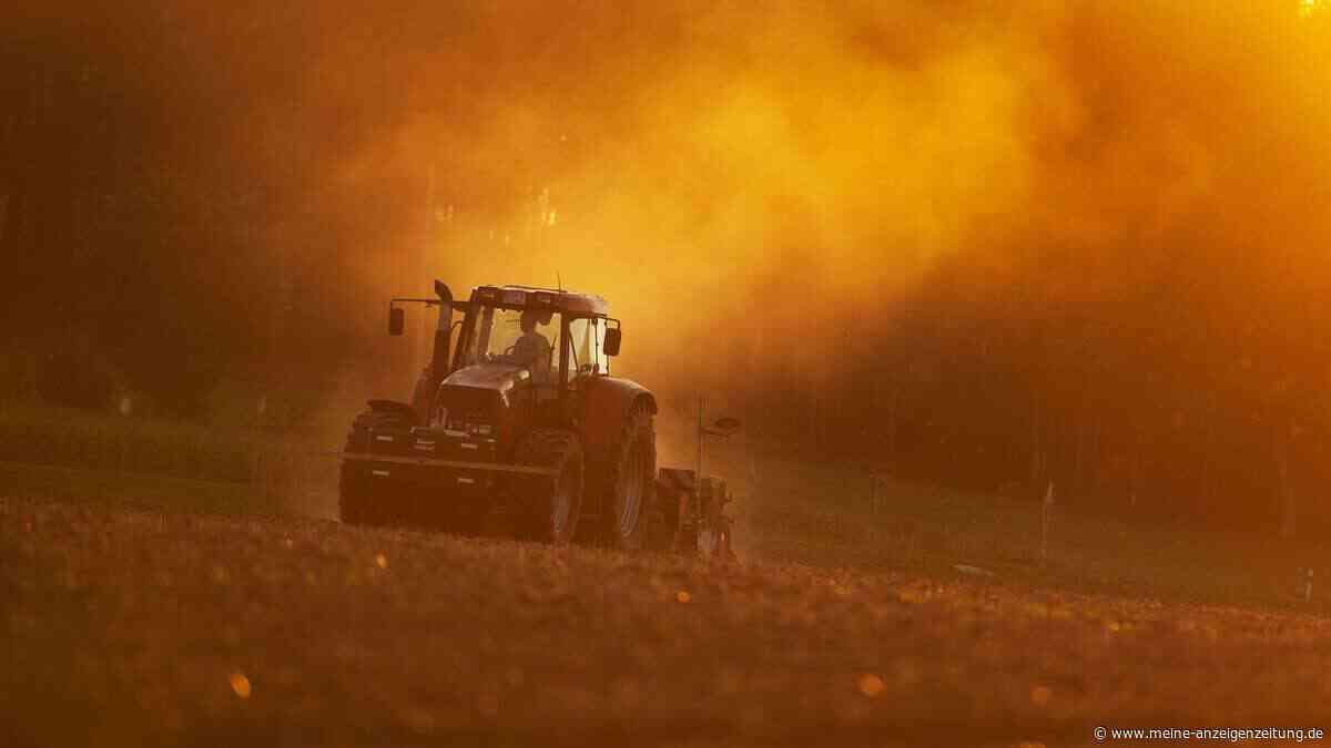 8. Juni entscheidet alles: Bauernregel will jetzt schon wissen, wie der Sommer wird
