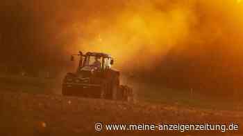 8. Juni entscheidet alles: Bauernregel will jetzt schon wissen, wie der Sommer wird