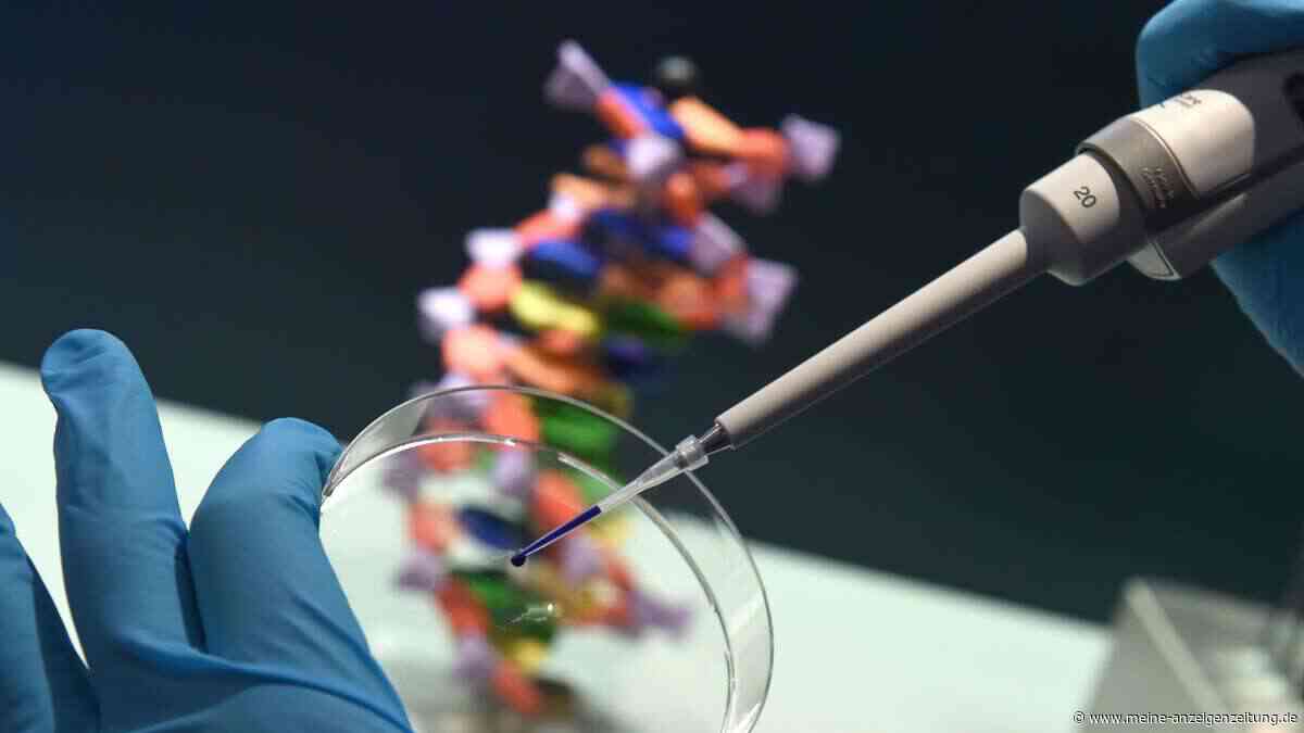 Durchbruch in der Genmedizin: Experten mahnen zur Vorsicht bei Embryonen-Editierung