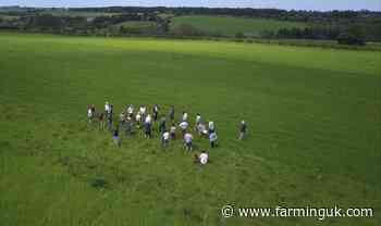 Farmers can apply for bigger innovation grants under Defra scheme