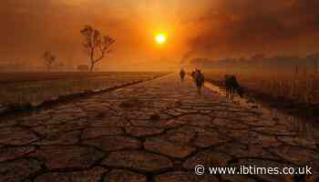 UN Warns Climate 'Danger Zone' Is Here: 6°C Pacific Heat Spike Risks Historic 'Super El Niño'